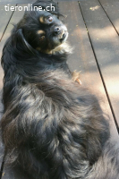 Nannos Charme muss man einfach erliegen! (11 Jahre)