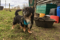 Nannos Charme muss man einfach erliegen! (11 Jahre)