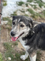 Neele möchte ihr Herz verschenken