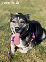 Neele möchte ihr Herz verschenken