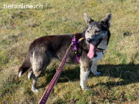 Neele möchte ihr Herz verschenken
