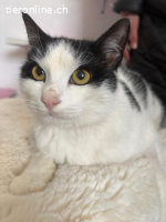 Nelio (11Monate)  - Bereit für einen Neuanfang