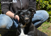 Nettie - was ne Wundertüte!