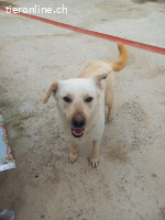 Nevada möchte ihr Leben beginnen