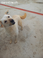 Nevada möchte ihr Leben beginnen