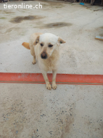 Nevada möchte ihr Leben beginnen