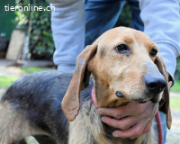 Neville - Abstellgleis - Nein Danke!