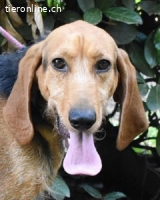 Neville - Abstellgleis - Nein Danke!