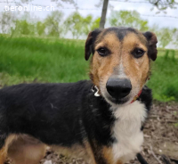 Nica eine sanfte gebrochene Seele