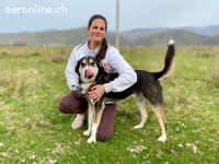 Ein starker Charakter mit grossem Herz sucht seinen Menschen