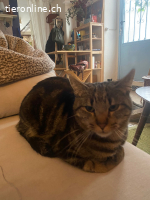 Noah, m./kastr., geb. 09/2023