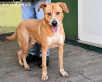 Noland - Was lernen wir, wenn wir bleiben?