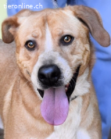 Noland - Was lernen wir, wenn wir bleiben?