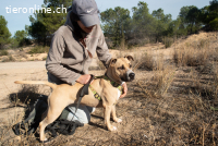 Nora (Vermittlungshilfe)