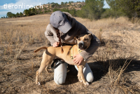 Nora (Vermittlungshilfe)