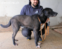 Norgen - Der überfällige Eintrag...