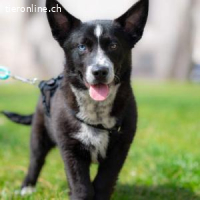 Norr - ein Sonntagskind