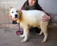 Notfall - Cairox - beginnt hier seine Geschichte ?