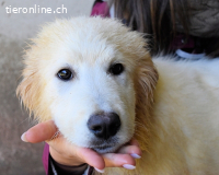 Notfall - Cairox - beginnt hier seine Geschichte ?