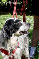 Notfall - Toby-Wenn die Welt plötzlich still und dunkel wird