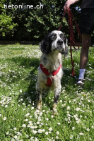 Notfall - Toby-Wenn die Welt plötzlich still und dunkel wird