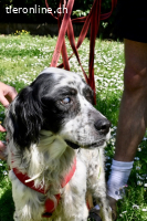 Notfall - Toby-Wenn die Welt plötzlich still und dunkel wird