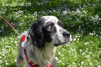 Notfall - Toby-Wenn die Welt plötzlich still und dunkel wird