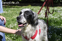 Notfall - Toby-Wenn die Welt plötzlich still und dunkel wird