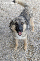 Oksana (2 Jahre) sucht ein Zuhause