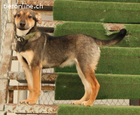 Ola liebt Menschen über alles?