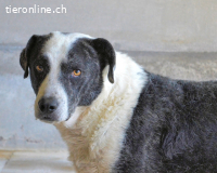 Oldrich - NIE ist einfach zu lang...