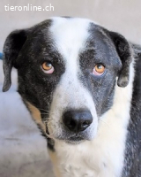 Oldrich - NIE ist einfach zu lang...