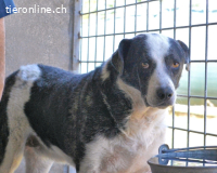 Oldrich - NIE ist einfach zu lang...