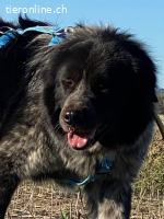 Olivia - mit sanften Schritten nach vorne