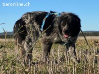 Olivia - mit sanften Schritten nach vorne