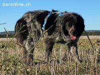 Olivia - mit sanften Schritten nach vorne