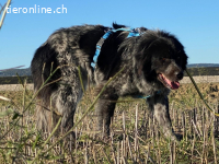 Olivia - mit sanften Schritten nach vorne