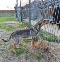 Oriana – sensible Beobachterin mit grossem Herzen