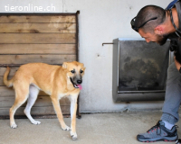 Osita - "und wenn sie nicht weg sind...
