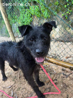 Oslo – voller Liebe und Tatendrang