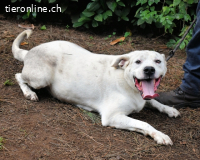 Ottaviano - Fels in der Brandung gesucht!