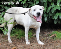 Ottaviano - Fels in der Brandung gesucht!