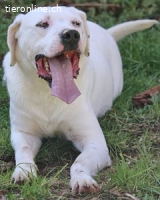 Ottaviano - Fels in der Brandung gesucht!