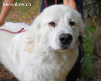 Ottis - Wow! Einfach nur wow!