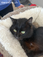 Ozzy sprüht vor Lebensfreude (3 Jahre)