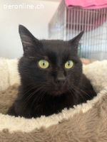 Ozzy sprüht vor Lebensfreude (3 Jahre)