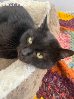 Ozzy sprüht vor Lebensfreude (3 Jahre)