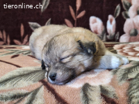 Pablo, ich suche nach mein Platz im Leben