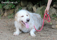 Papak - Nutze den Tag!