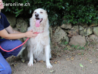 Papak - Nutze den Tag!